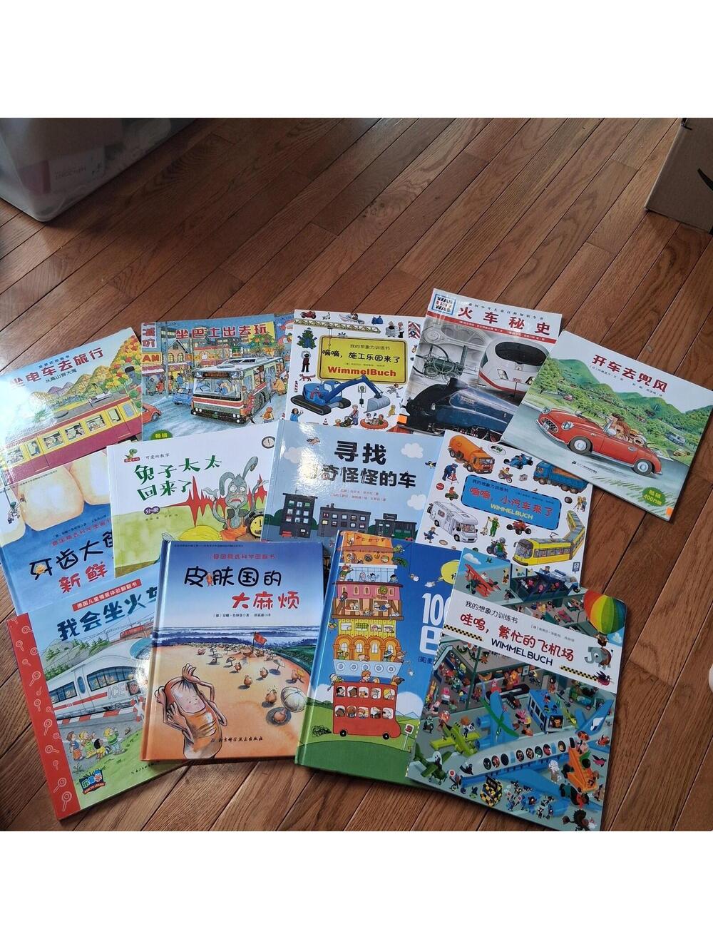 Lot of 13 Chinese Children’s Books Wimmelbuch Search & Find Science & Transport